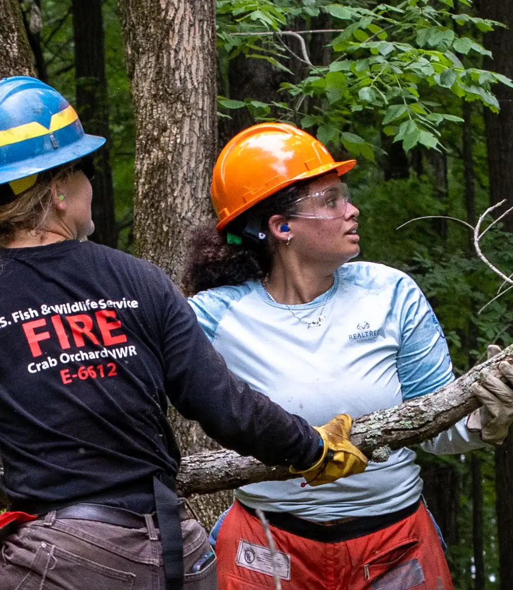 Student wearing safety gear holding a large branch during fieldwork in a wooded area.