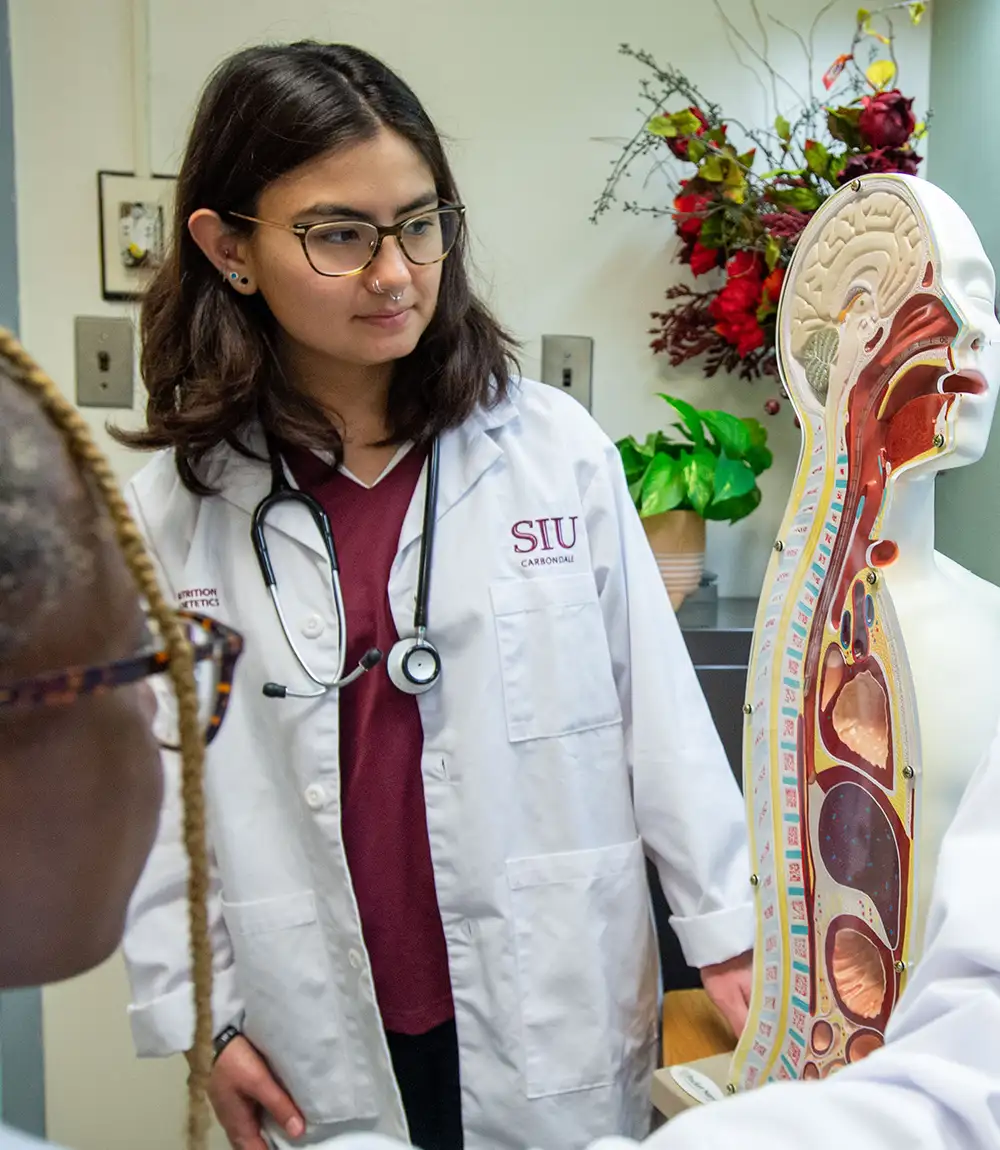 Student examining an anatomical model of the human body.
