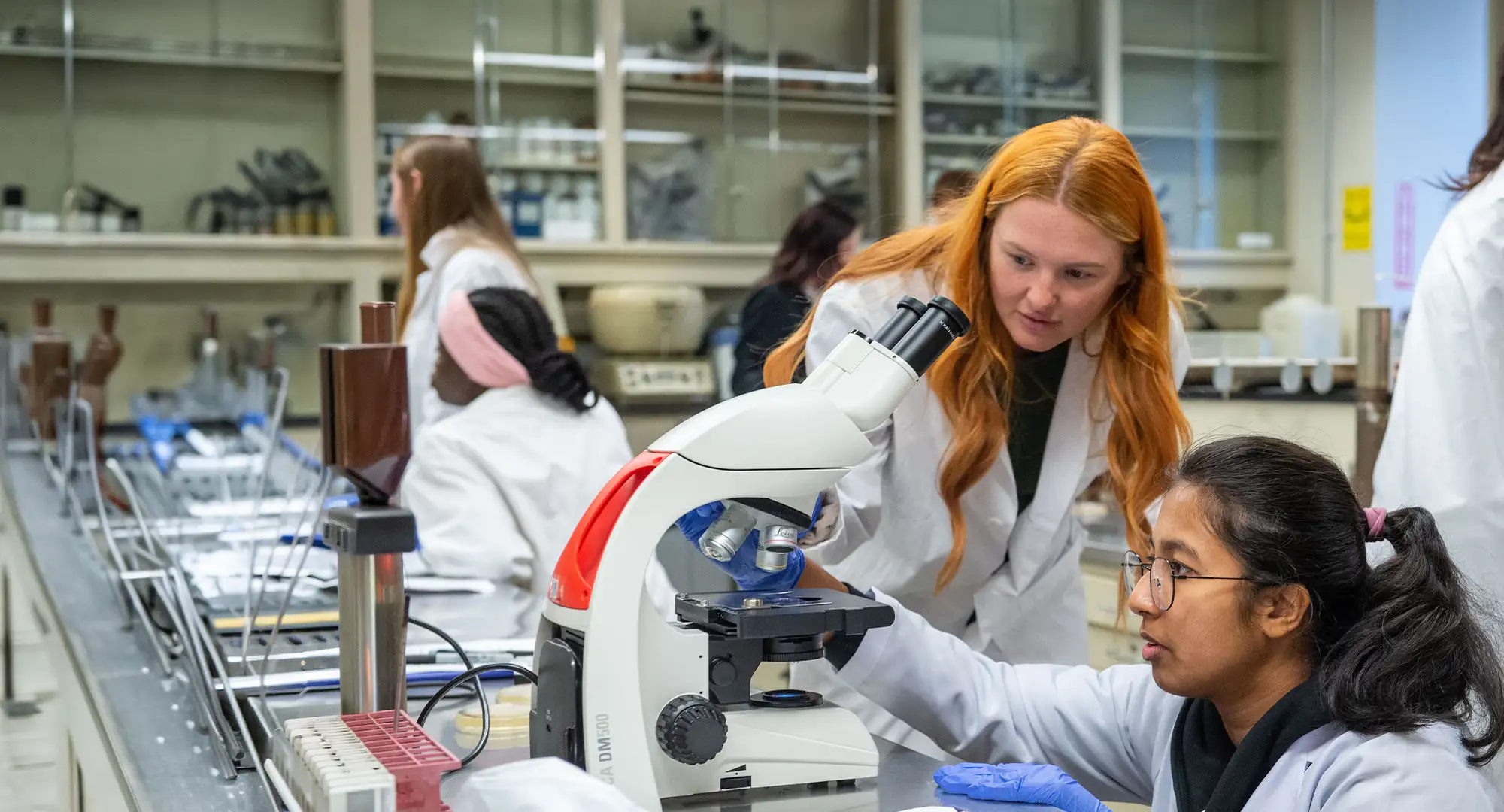 Two students in a laboratory using a microscope to examine a specimen.