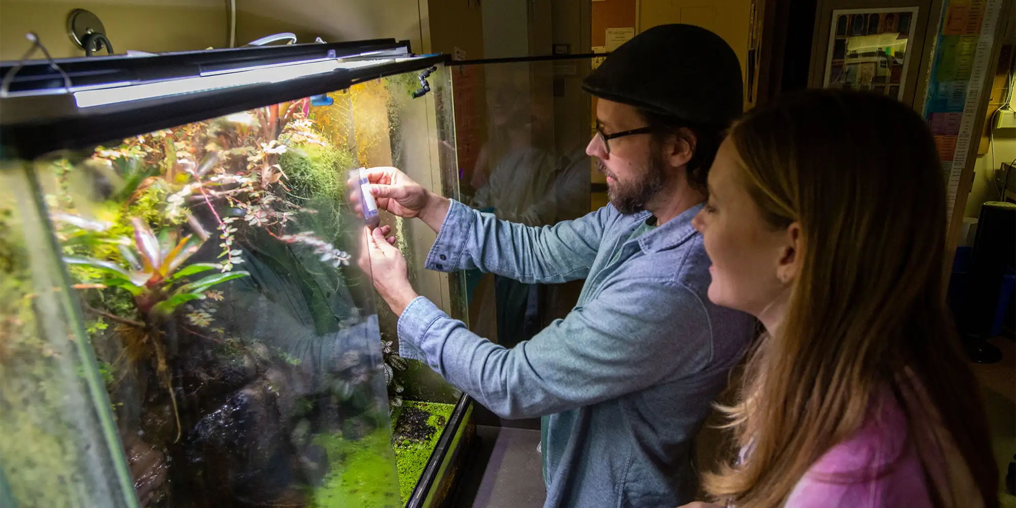 An instructor and student observe and measure conditions inside a planted aquarium in a biology lab, examining water quality and plant growth under bright tank lighting.