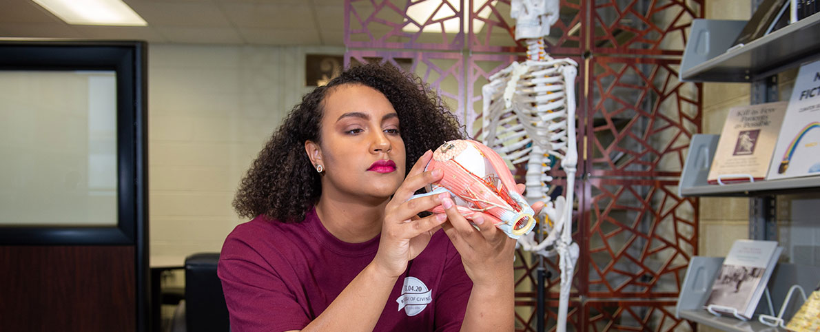 pre-med student studying skeleton