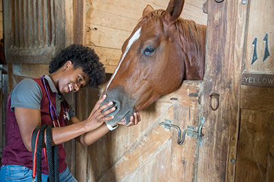 Pre-Vet Programs