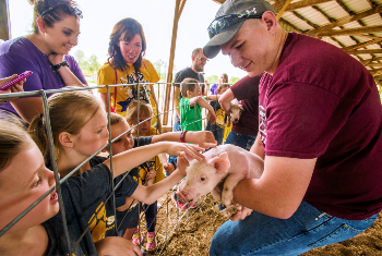 Young students visiting university pig farm