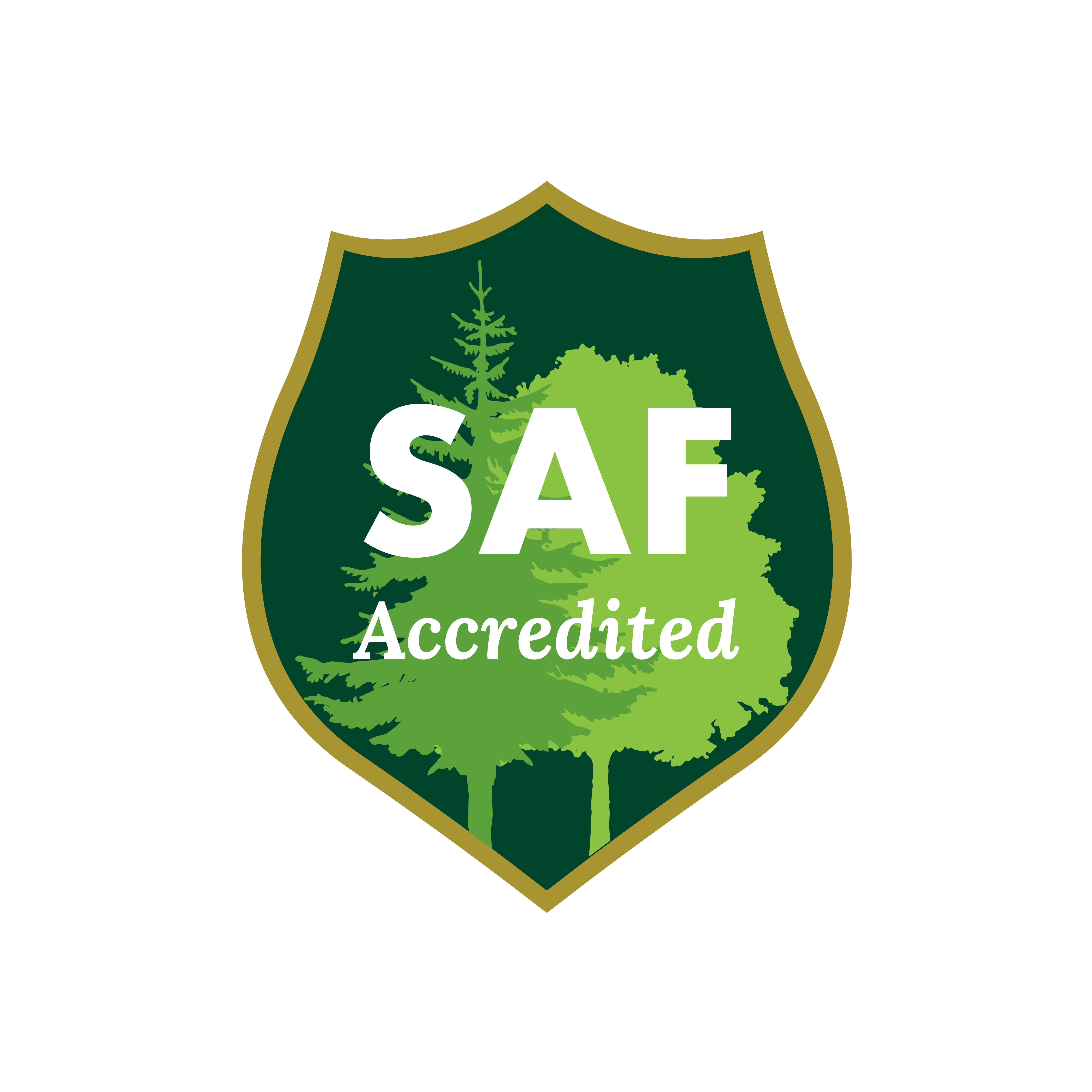 SAF logo