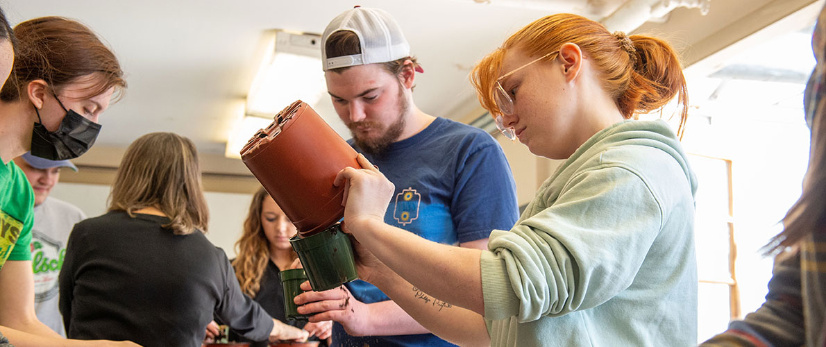 SIU group repotting plants