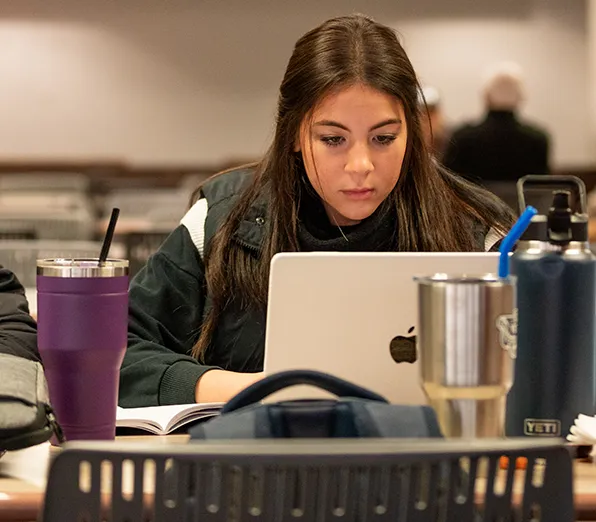 SIU Student working on a computer