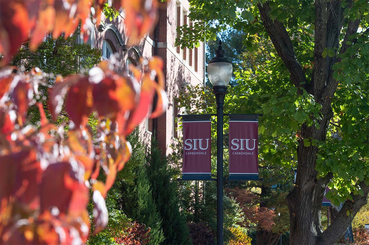SIU campus flags in spring