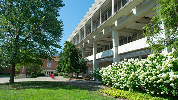 SIU Campus Faner in Summer