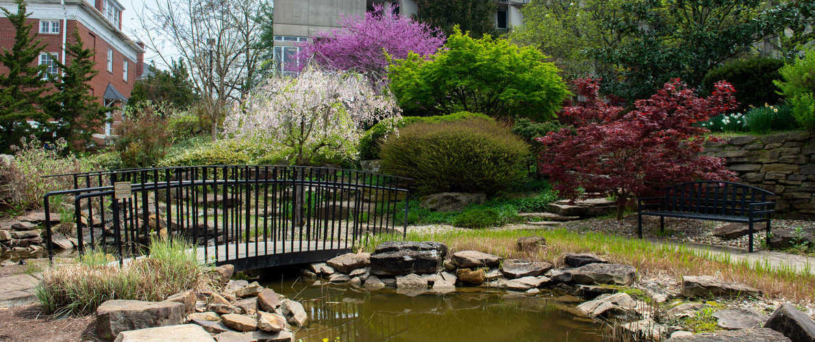 Garden on SIU Campus
