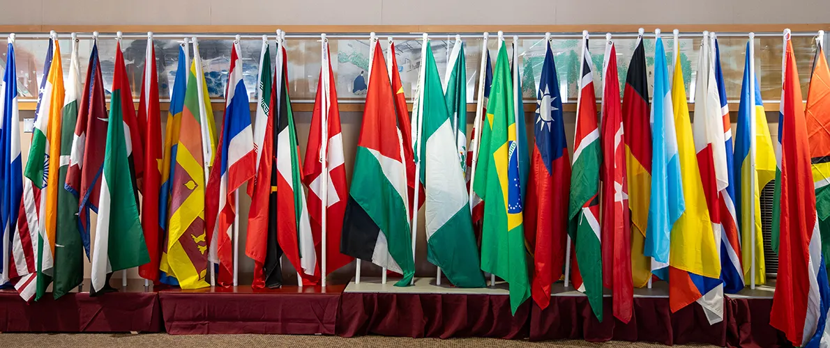 International Flags on SIU Campus