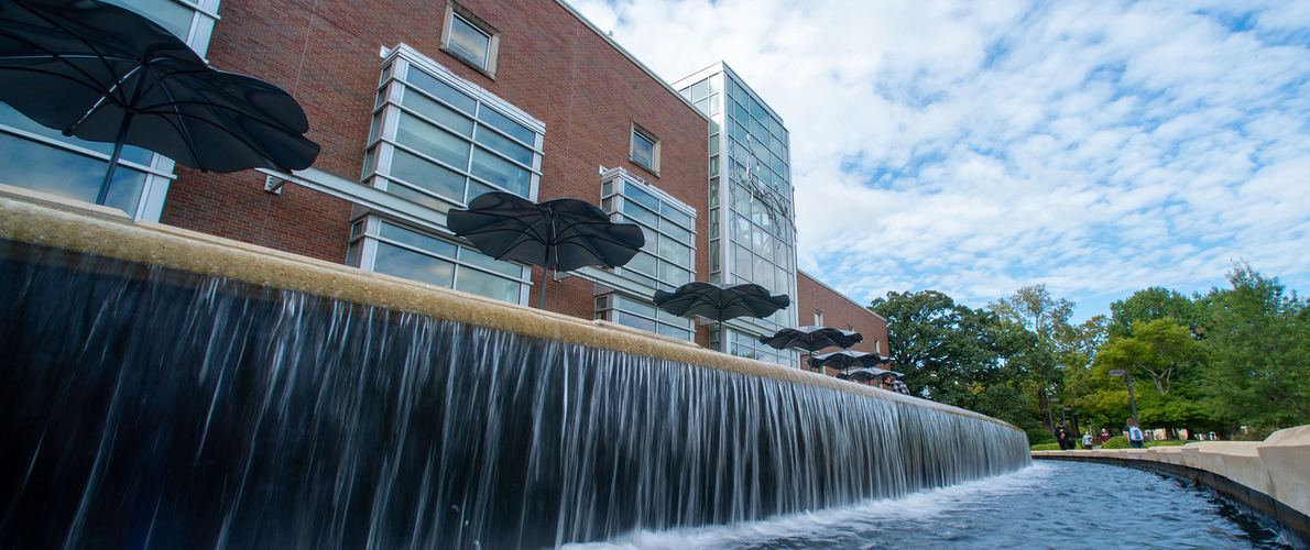 Morris Library on SIU Campus