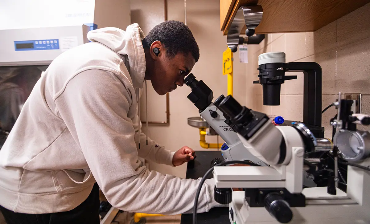 A student looks through a microscope in a laboratory setting.