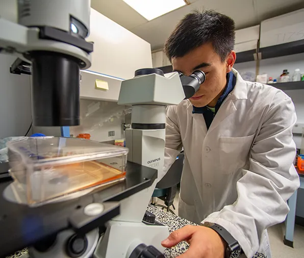 SIU Microbiology Student working on microscope