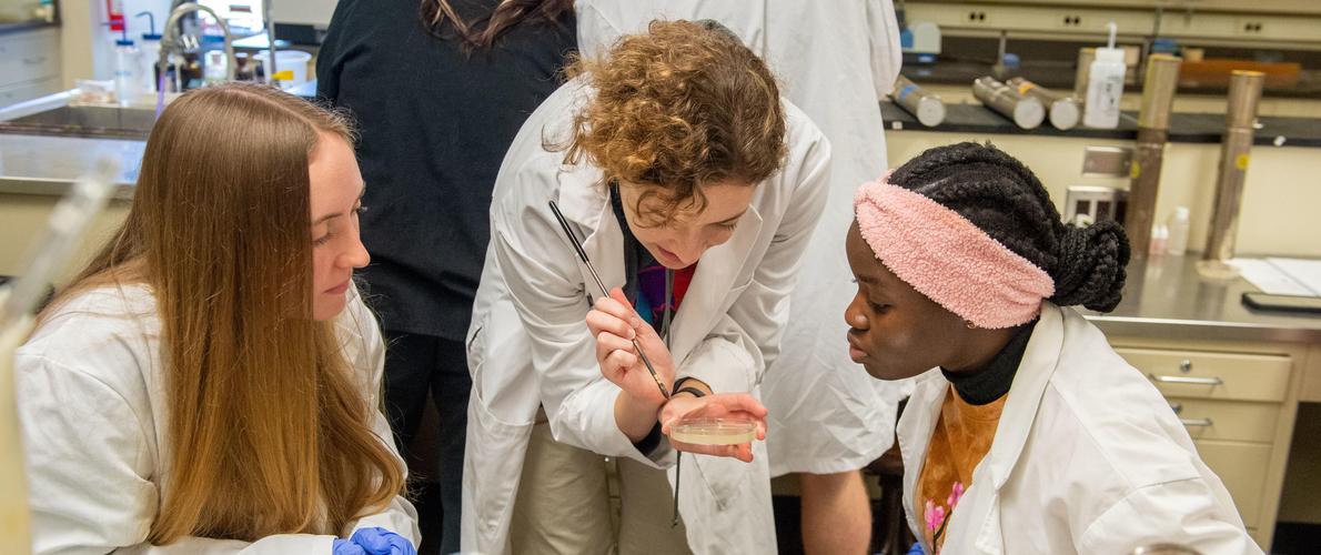 SIU Microbiology Students look at growth on petri dish