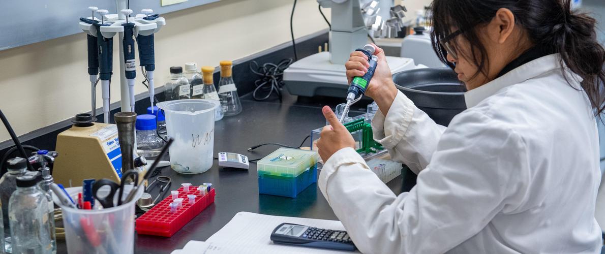 SIU Microbiology student taking a sample in lab.