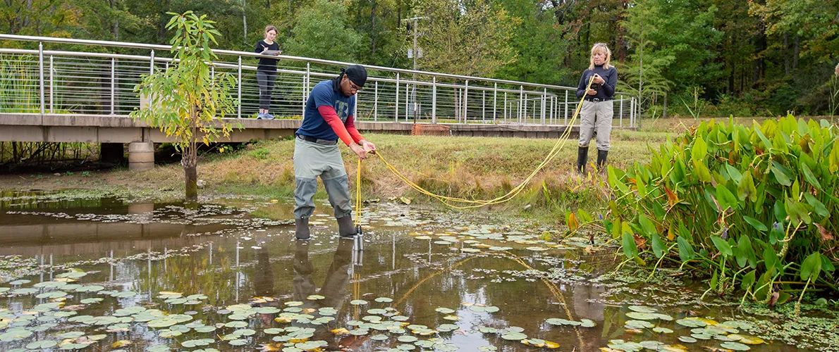 SIU Students studying fish 